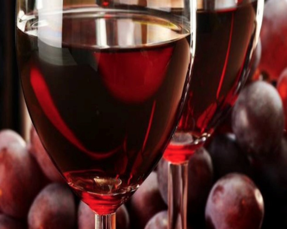 Gavi wijnen – op een mooie en gezellige afdronk -